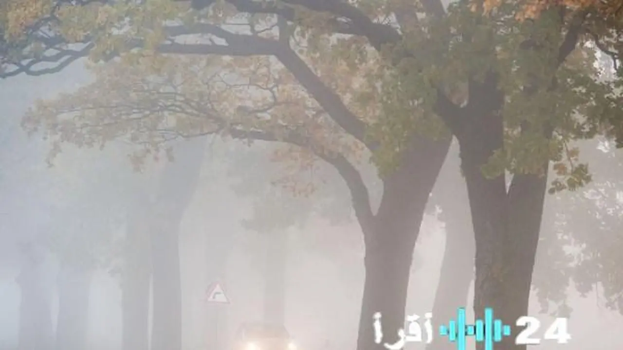 الأرصاد تحذر من شبورة مائية وأمطار متفرقة تشهدها البلاد في طقس الغد